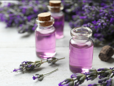 博今生物OEM加工厂为您揭秘薰衣草精油的功用!